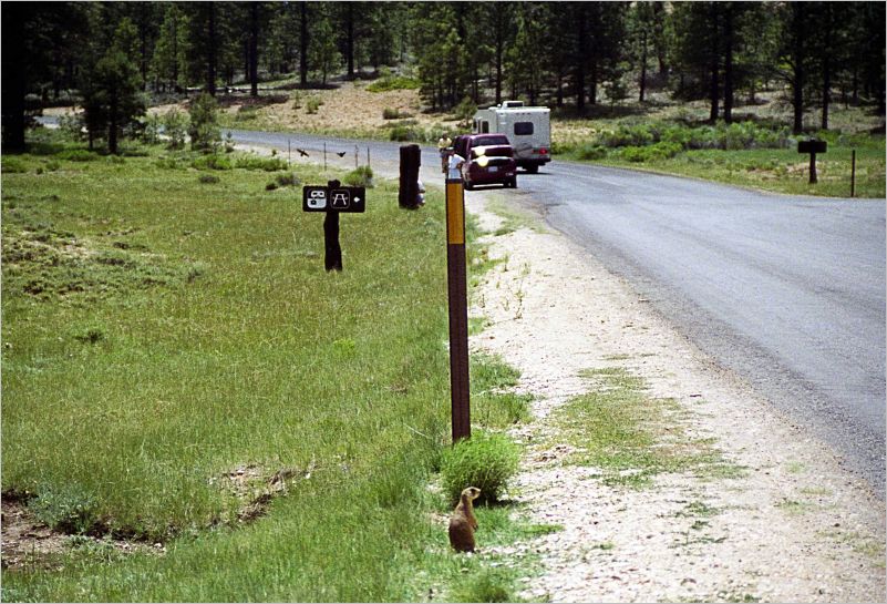 vacattion 1992 pagosa lake powell  north rim -- 131